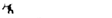 Ojo de pez